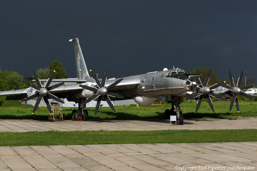 Russian Federation Navy Tupolev Tu-142 MZ (8601903) | Photo 277255