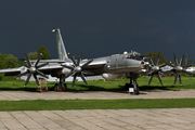 Russian Federation Navy Tupolev Tu-142 MZ (8601903) at  Kiev - Igor Sikorsky International Airport (Zhulyany), Ukraine