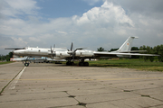 Russian Federation Navy Tupolev Tu-142 MZ (8601903) at  Kiev - Igor Sikorsky International Airport (Zhulyany), Ukraine