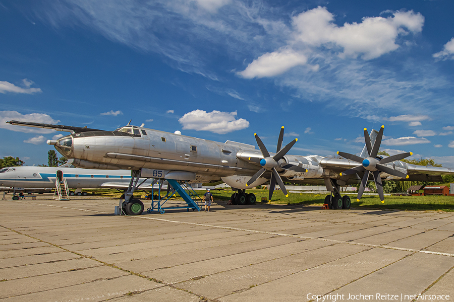 Russian Federation Navy Tupolev Tu-142 MZ (8601903) | Photo 384677