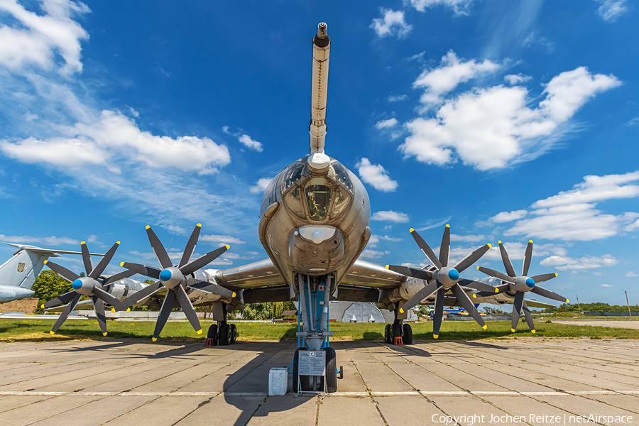 Russian Federation Navy Tupolev Tu-142 MZ (8601903) | Photo 384679