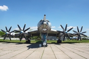 Russian Federation Navy Tupolev Tu-142 MZ (8601903) at  Kiev - Igor Sikorsky International Airport (Zhulyany), Ukraine