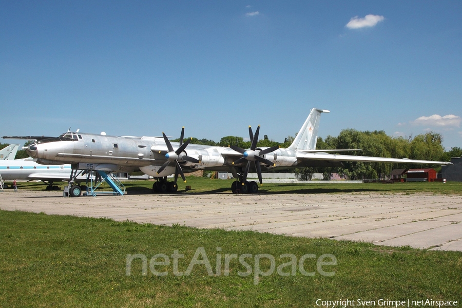 Russian Federation Navy Tupolev Tu-142 MZ (8601903) | Photo 248192