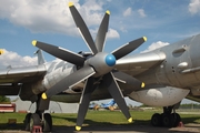 Russian Federation Navy Tupolev Tu-142 MZ (8601903) at  Kiev - Igor Sikorsky International Airport (Zhulyany), Ukraine