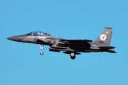 United States Air Force McDonnell Douglas F-15E Strike Eagle (87-0189) at  New York - John F. Kennedy International, United States