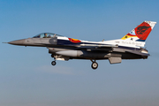 United States Air Force General Dynamics F-16C Fighting Falcon (87-0229) at  Schleswig - Jagel Air Base, Germany