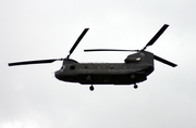 United States Army Boeing CH-47D Chinook (88-00086) at  Selfridge ANG Base, United States