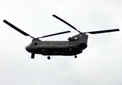 United States Army Boeing CH-47D Chinook (88-00086) at  Selfridge ANG Base, United States