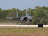 United States Air Force McDonnell Douglas F-15E Strike Eagle (88-1704) at  Titusville - Spacecoast Regional, United States