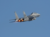 United States Air Force McDonnell Douglas F-15E Strike Eagle (88-1704) at  Titusville - Spacecoast Regional, United States