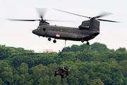 Singapore Air Force Boeing CH-47SD Chinook (88199) at  Paya Lebar AFB, Singapore