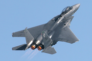 United States Air Force McDonnell Douglas F-15E Strike Eagle (89-0483) at  Oshkosh - Wittman Regional, United States