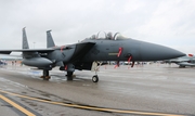 United States Air Force McDonnell Douglas F-15E Strike Eagle (89-0484) at  Tampa - MacDill AFB, United States