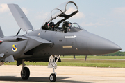 United States Air Force McDonnell Douglas F-15E Strike Eagle (89-0495) at  Joint Base Andrews Naval Air Facility, United States