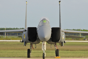 United States Air Force McDonnell Douglas F-15E Strike Eagle (89-0495) at  Homestead ARB, United States