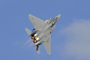 United States Air Force McDonnell Douglas F-15E Strike Eagle (89-0495) at  Las Vegas - Nellis AFB, United States