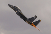 United States Air Force McDonnell Douglas F-15E Strike Eagle (89-0495) at  Las Vegas - Nellis AFB, United States