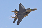 United States Air Force McDonnell Douglas F-15E Strike Eagle (89-0495) at  Las Vegas - Nellis AFB, United States