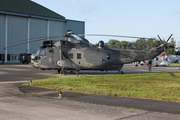 German Navy Westland Sea King Mk.41 (8950) at  Nordholz - NAB, Germany