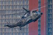 German Navy Westland Sea King Mk.41 (8950) at  Hamburg Harbour, Germany