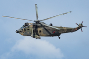 German Navy Westland Sea King Mk.41 (8950) at  Hamburg Harbour, Germany