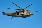 German Navy Westland Sea King Mk.41 (8950) at  Hamburg Harbour, Germany