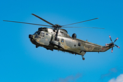 German Navy Westland Sea King Mk.41 (8950) at  Hamburg Harbour, Germany