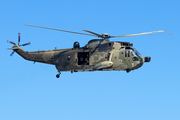 German Navy Westland Sea King Mk.41 (8950) at  Hamburg Harbour, Germany