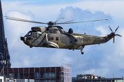 German Navy Westland Sea King Mk.41 (8950) at  Hamburg Harbour, Germany