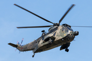 German Navy Westland Sea King Mk.41 (8953) at  Hohn - NATO Flugplatz, Germany