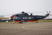 German Navy (Marineflieger) Westland Sea King Mk.41 (8955) at  Helgoland - NAB, Germany