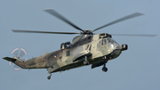 German Navy (Marineflieger) Westland Sea King Mk.41 (8957) at  Schleswig - Jagel Air Base, Germany