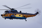 German Navy Westland Sea King Mk.41 (8958) at  Hamburg - Fuhlsbuettel (Helmut Schmidt), Germany