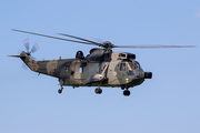 German Navy Westland Sea King Mk.41 (8958) at  Hamburg - Fuhlsbuettel (Helmut Schmidt), Germany