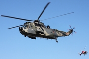 German Navy Westland Sea King Mk.41 (8958) at  Hamburg, Germany