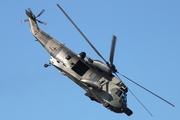 German Navy Westland Sea King Mk.41 (8958) at  Hamburg, Germany