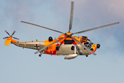 German Navy Westland Sea King Mk.41 (8963) at  Nordholz/Cuxhaven - Seeflughafen, Germany