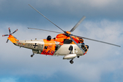 German Navy Westland Sea King Mk.41 (8963) at  Nordholz/Cuxhaven - Seeflughafen, Germany