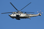 German Navy Westland Sea King Mk.41 (8963) at  Nordholz - NAB, Germany