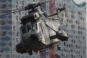 German Navy Westland Sea King Mk.41 (8963) at  Hamburg, Germany