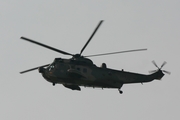 German Navy (Marineflieger) Westland Sea King Mk.41 (8964) at  Florennes AFB, Belgium