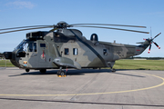 German Navy Westland Sea King Mk.41 (8964) at  Nordholz - NAB, Germany