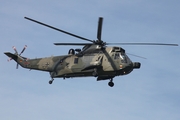 German Navy Westland Sea King Mk.41 (8964) at  Hamburg - Fuhlsbuettel (Helmut Schmidt), Germany