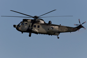 German Navy (Marineflieger) Westland Sea King Mk.41 (8968) at  Nordholz - NAB, Germany
