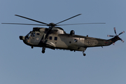 German Navy Westland Sea King Mk.41 (8968) at  Nordholz - NAB, Germany