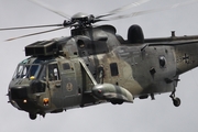 German Navy Westland Sea King Mk.41 (8971) at  Hamburg, Germany