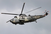 German Navy Westland Sea King Mk.41 (8971) at  Hamburg, Germany