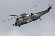 German Navy Westland Sea King Mk.41 (8971) at  Hamburg, Germany