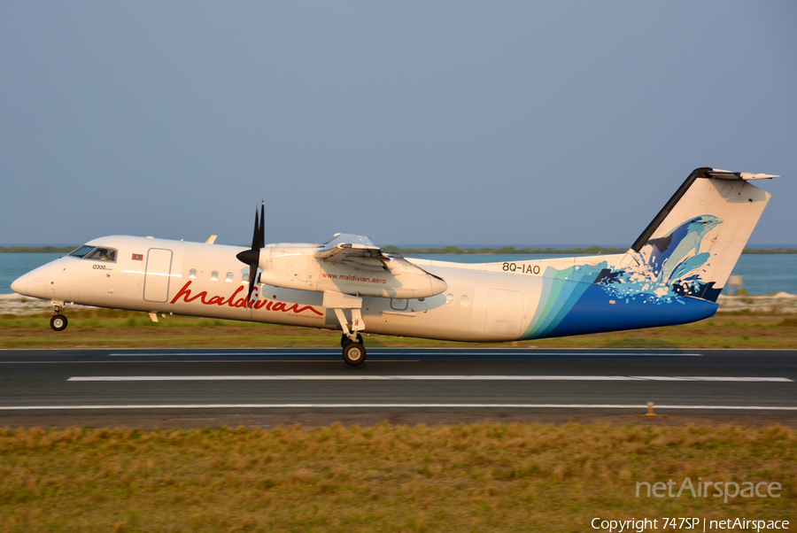 Maldivian de Havilland Canada DHC-8-314Q (8Q-IAO) | Photo 76370