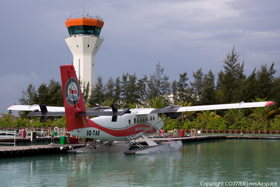 Trans Maldivian Airways de Havilland Canada DHC-6-310 Twin Otter (8Q-TAE) | Photo 169732